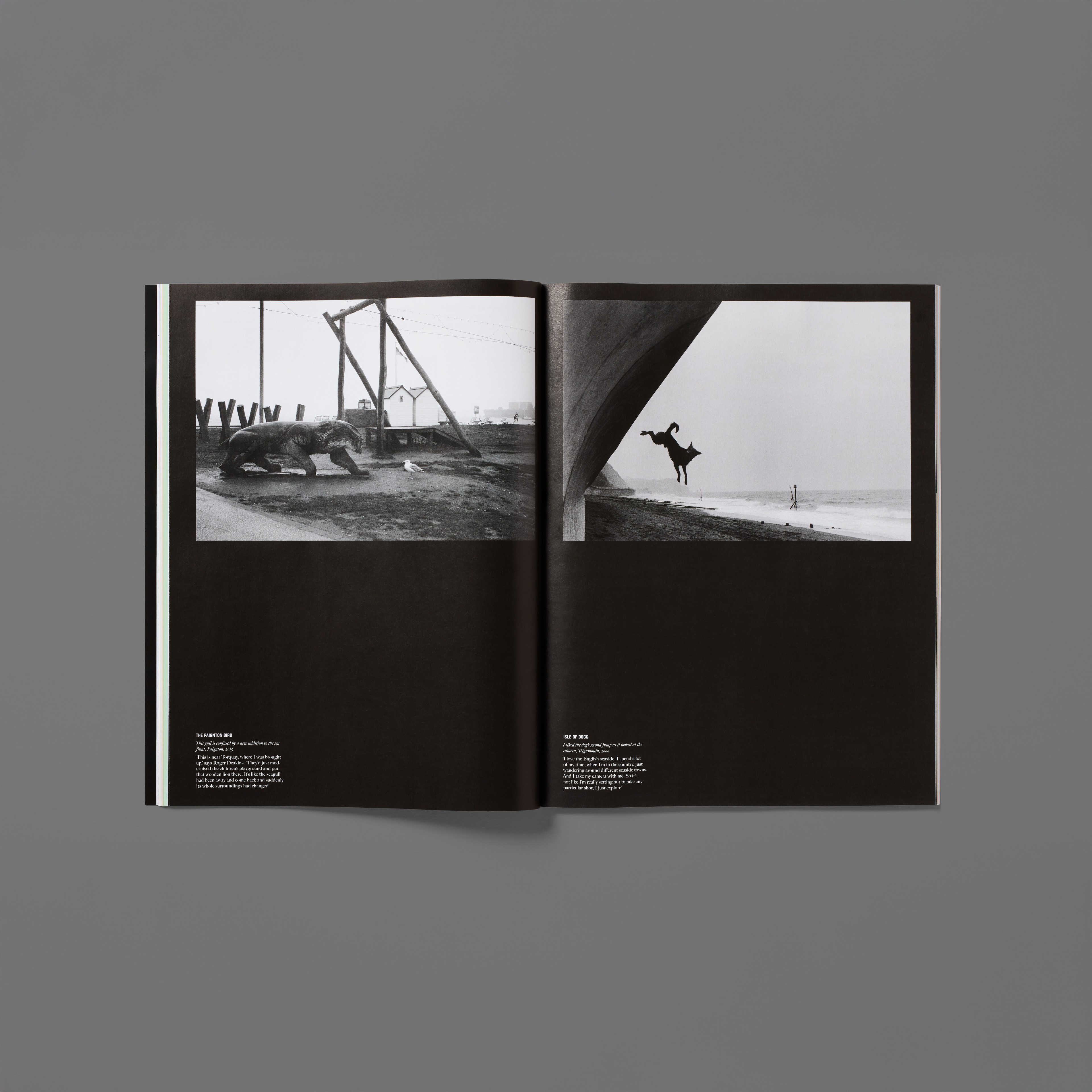 Graphic of a typography specimen showing the alphabet and numerals on top of a dark gray background.